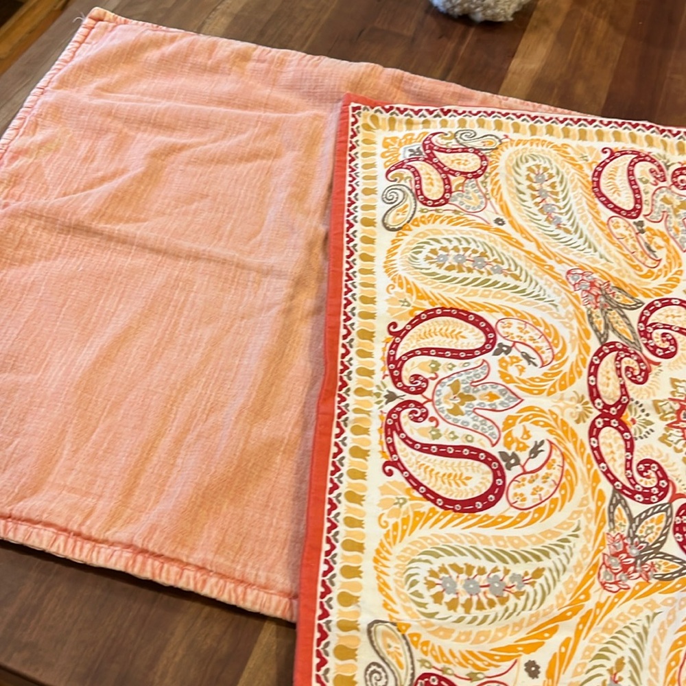 Pottery Barn shams🧡